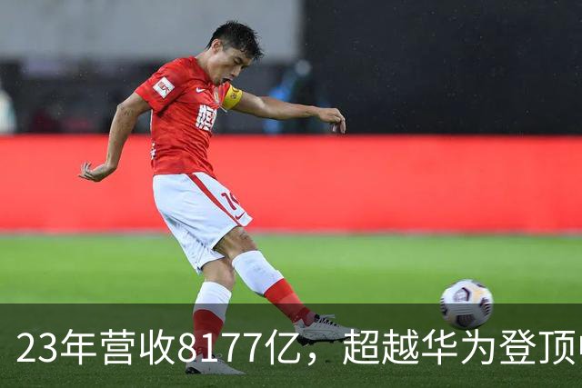 23年营收8177亿，超越华为登顶中国民企第一