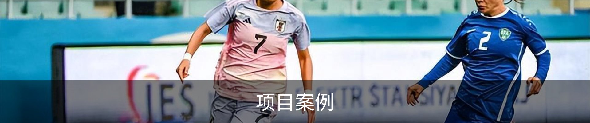 项目案例